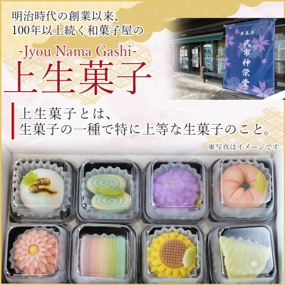 和菓子 合同会社武市神栄堂の上生菓子 8個入り yd-0019