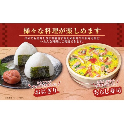 【令和7年度産】蘭越町産ななつぼし 5㎏ 白米 北海道産