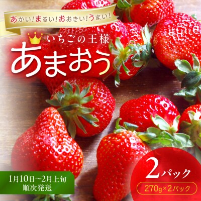 【先行予約受付中】福岡県産いちご「あまおう」270g×2パック【hurrah.】_HA1971