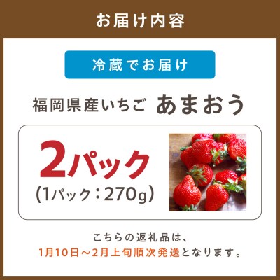 【先行予約受付中】福岡県産いちご「あまおう」270g×2パック【hurrah.】_HA1971