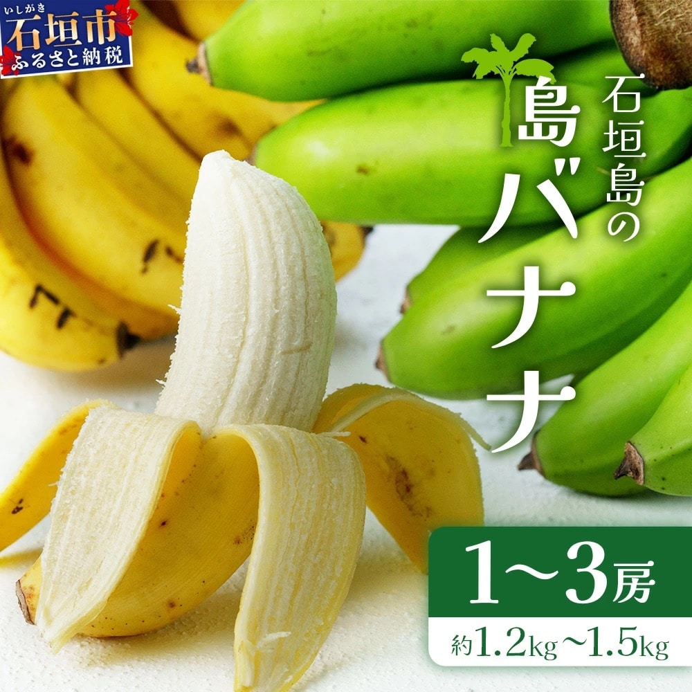 <先行受付>石垣島の島バナナ、1～3房(約1,2～1,5kg前後入り)《2026年7月より順次発送》