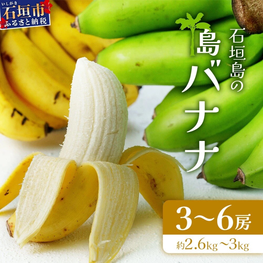 <先行受付>石垣島の島バナナ、3～6房(約2,6～3kg前後入り)《2026年7月より順次発送》