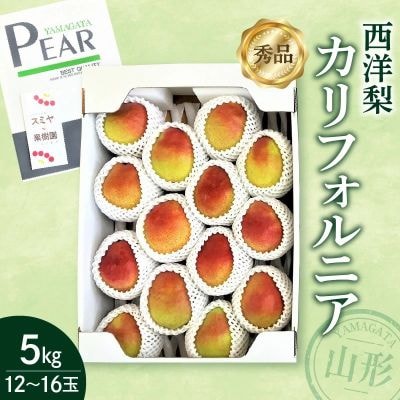 西洋梨(カリフォルニア)5kg　0047-2609