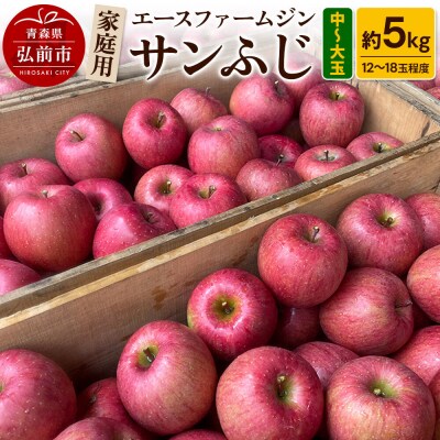 りんご 家庭用 サンふじ 約5kg(中玉～大玉12～18玉程度)|24_ace-020501