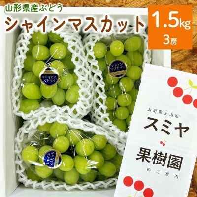 ぶどう(シャインマスカット)1.5kg(房小さめ)　0047-2610