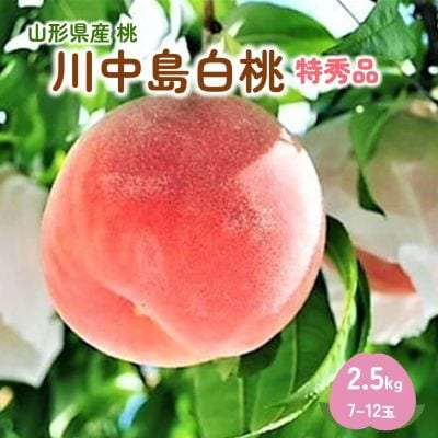 桃(川中島白桃)2.5kg　特秀品　0047-2605