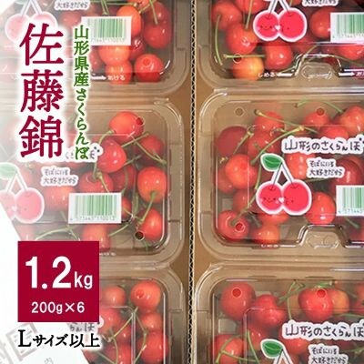 さくらんぼ(佐藤錦)1.2kg　ご家庭用　0047-2602