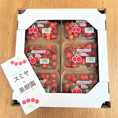 さくらんぼ(佐藤錦)1.2kg　ご家庭用　0047-2602