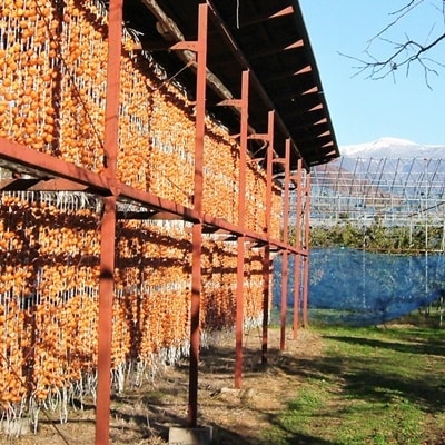 干し柿(紅つるし)32個　Lサイズ　0040-2603