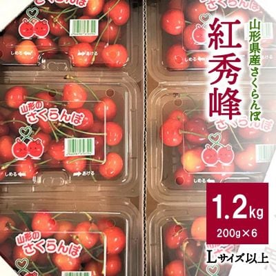 さくらんぼ(紅秀峰)1.2kg　ご家庭用　0047-2603