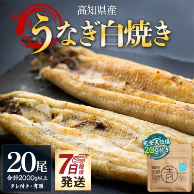 【7日程度で発送】白焼き 国産うなぎ 高知県産 20尾 合計2kg以上 yw-0088