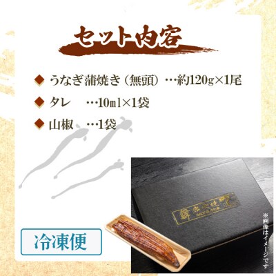 【7日程度で発送】うなぎ蒲焼き120g 1尾(無頭) un-0013
