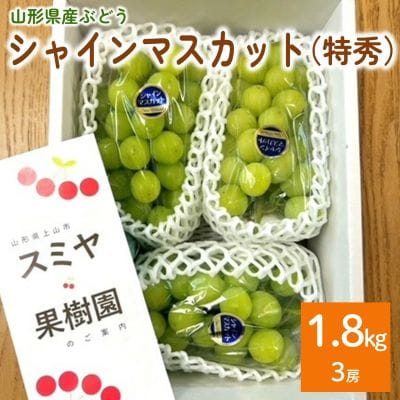 シャインマスカット　3房　合計1.8kg　特秀品・化粧箱入り　0047-2611