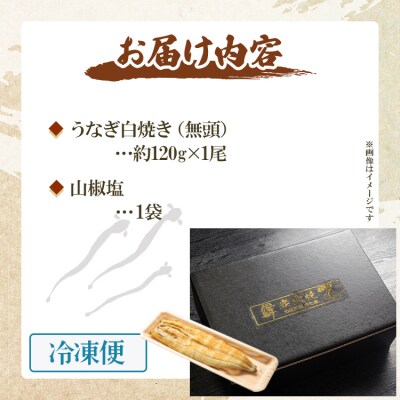 【7日程度で発送】うなぎ白焼き120g 1尾(無頭) un-0016