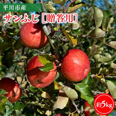 【11月下旬～順次発送】贈答用サンふじ5kg【今井農園