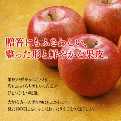 【11月下旬～順次発送】贈答用サンふじ5kg【今井農園