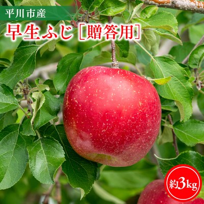 【10月発送】贈答用早生ふじ3kg【今井農園】