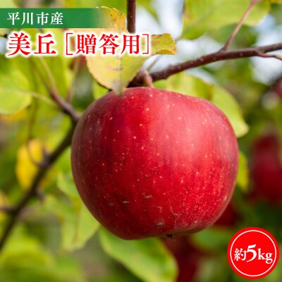 【11月下旬～順次発送】贈答用美丘5kg【今井農園】