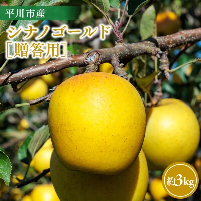 【11月～順次発送】贈答用シナノゴールド3kg【今井農園】