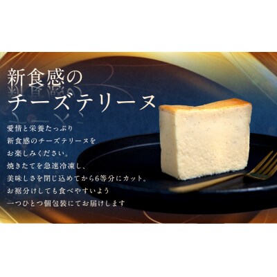 北海道産100% チーズテリーヌ F4F-2626