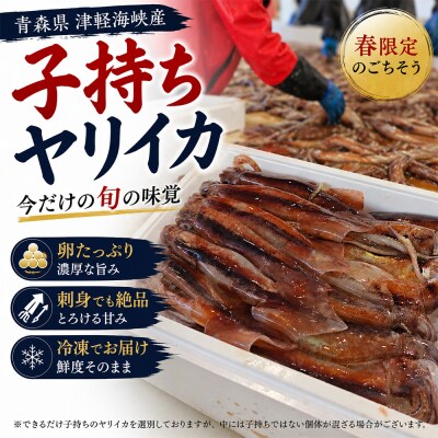産地直送!　津軽海峡　大畑港産　朝獲れ子持ちヤリイカ 1kg 