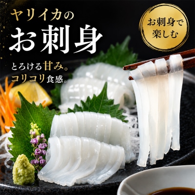 産地直送!　津軽海峡　大畑港産　朝獲れ子持ちヤリイカ 1kg 