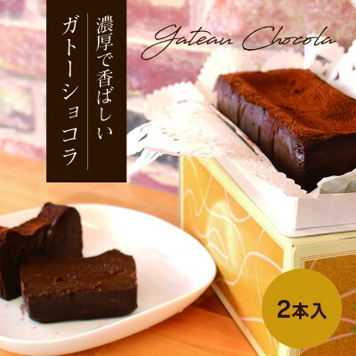 ガトーショコラ2本セット【27】