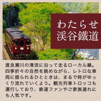 わたらせ渓谷鐵道「わ鐵のわっしー」グッズ6点【95】