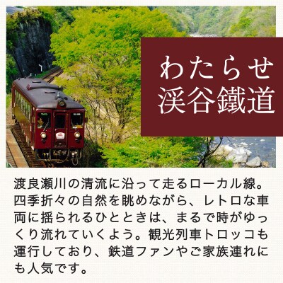 わたらせ渓谷鐵道オリジナルヘッドマーク　10日間掲出【140】