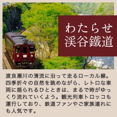 わたらせ渓谷鐵道一日フリーきっぷ&富弘美術館入館招待券【48】