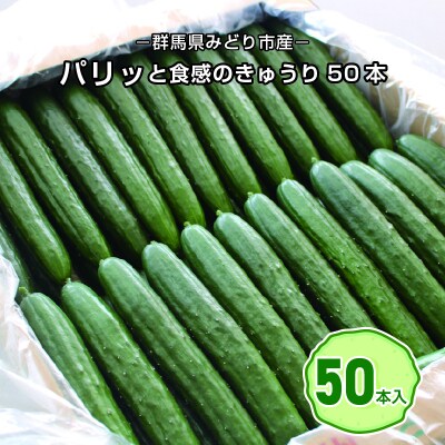 パリッと食感のきゅうり50本【71】
