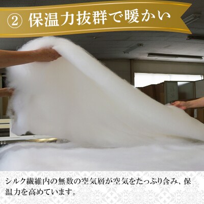 手洗いOK　群馬県産シルクわたの枕パット【153】