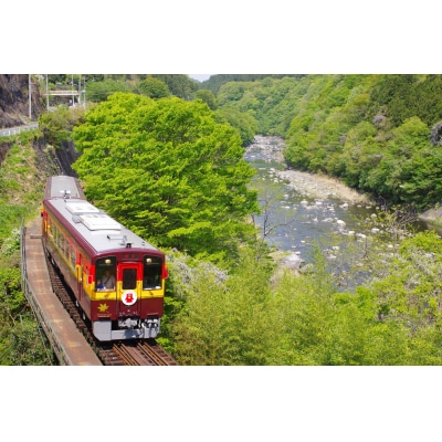 トロッコわっしー号運転体験【令和6年2月17日】【274】