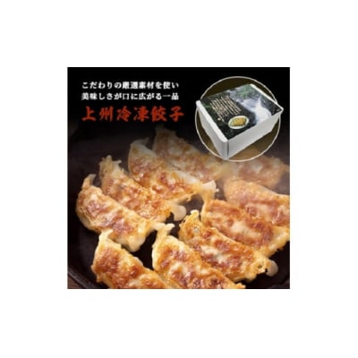 おざわの上州冷凍餃子125個入り【80】