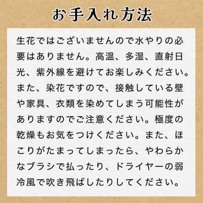プリザーブドフラワーアレンジ(額装)中　(赤系)【a104】