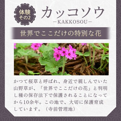 正福寺の天井画とカッコソウを訪ねて【a150】
