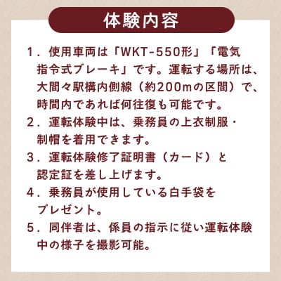 わたらせ渓谷鐵道 トロッコわっしー号運転体験 プレミアム貸切体験プラン【a221】