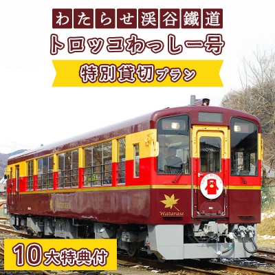 わたらせ渓谷鐵道 トロッコわっしー号　特別貸切プラン【a223】