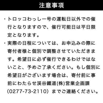 わたらせ渓谷鐵道 トロッコわっしー号　特別貸切プラン【a223】