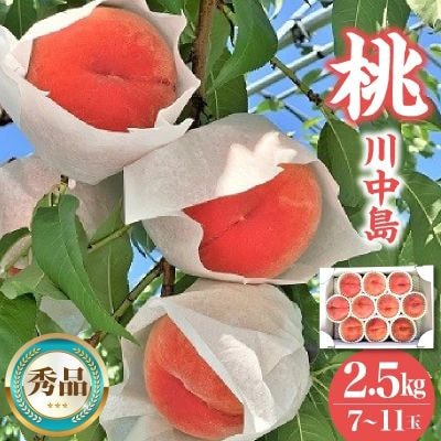 桃(川中島)2.5kg　0120-2601