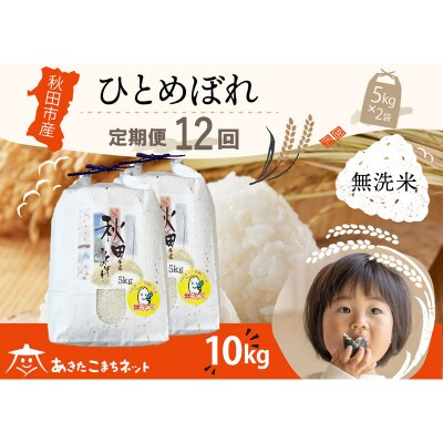 《定期便12ヶ月》秋田市産ひとめぼれ 10kg 【無洗米】|15_akn-gg1012m