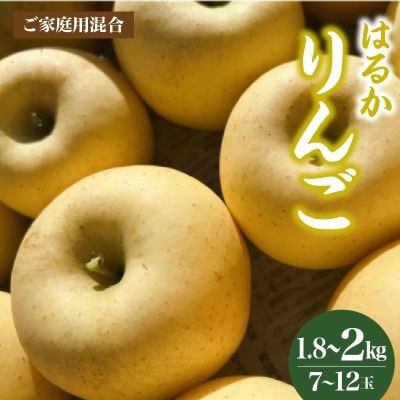 りんご(はるか)1.8kg～2kg　ご家庭用　0120-2606