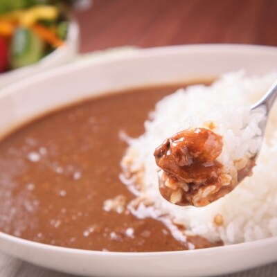 【若男水産】淡路島3年とらふぐカレー(スパイシー)×3個