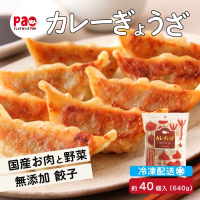paoの無添加餃子「カレーぎょうざ」640g(約40個) [058-006]