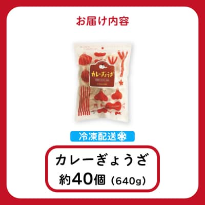 paoの無添加餃子「カレーぎょうざ」640g(約40個) [058-006]