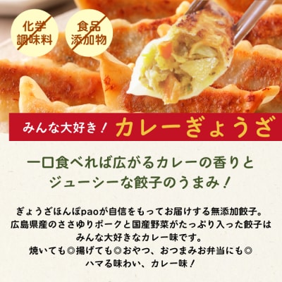 paoの無添加餃子「カレーぎょうざ」640g(約40個) [058-006]