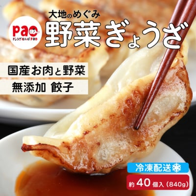 paoの無添加餃子「大地のめぐみ 野菜ぎょうざ」840g(約40個) [058-007]