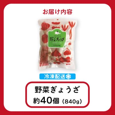 paoの無添加餃子「大地のめぐみ 野菜ぎょうざ」840g(約40個) [058-007]