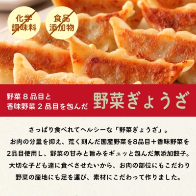 paoの無添加餃子「大地のめぐみ 野菜ぎょうざ」840g(約40個) [058-007]