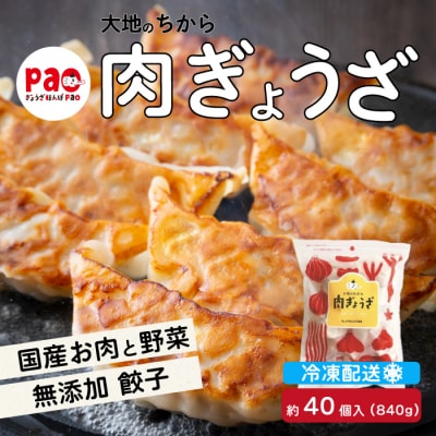 paoの無添加餃子「大地のちから 肉ぎょうざ」840g(約40個)  [058-008]